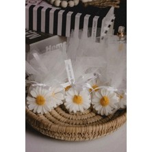 Bernami Kdekoratif Pinterest 15 Adet Mini Papatya Mum Süslemeli Hediyelik