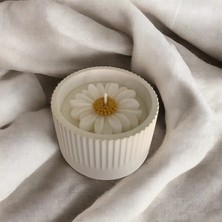 Bernami Mevlüt Pinterest Dekoratif Kokulu Kavanoz Mum Papatya Detaylı