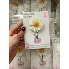 Bernami Mevlüt Pinterest 10 Adet Süslemeli Papatya , Mevlüt Şekeri, Doğum, Sünnet, Mevlüt Nişan Söz, Kına