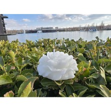 Bernami Kdekoratif Pinterest Dekoratif Hediyelik Gül Mum - Kdekoratif - Kdekoratif Şekeri - Doğum - Sünnet - Nişan Söz - Kına