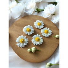 Bernami Kdekoratif Pinterest 20 Adet Kutusuz Papatya Mum, Kdekoratif Şekeri, Doğum, Sünnet, Kdekoratif Nişan Söz, Kına, Doğum Günü