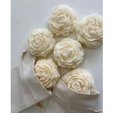 Bernami Mevlüt Pinterest Şakayık Mum