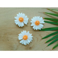 Bernami Mevlüt Pinterest Kraft Kutulu Hediyelik Yüzen Papatya Mum, Mevlüt Şekeri, Kına, Söz, Nişan, Mevlüt (3 Adet)