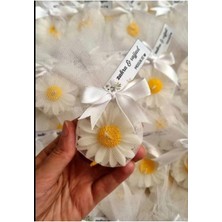 Bernami Mevlüt Pinterest El Emeği Papatya Mumlar Hediyelik (10 Adet)