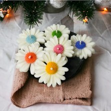 Bernami Mevlüt Pinterest 6 Lı Papatya Mum, Kokulu Mum