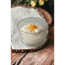 Bernami Mevlüt Pinterest Vanilya Kokulu Papatya Mum