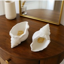 Bernami Mevlüt Pinterest Dekoratif Deniz Kabuğu Seti 2 Adet