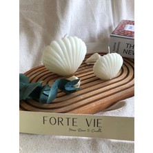 Bernami Kdekoratif Pinterest 2 Li Istiridye Model Kokulu Mum Seti