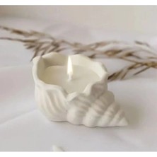 Bernami Kdekoratif Pinterest 1 Li Set Istiridye Midye Deniz Kabugu Mumsuz Beton Ham 1 Adet Boyasız