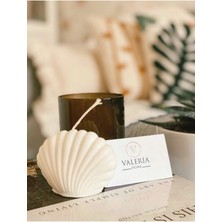 Bernami Mevlüt Pinterest Deniz Kabuğu Istiridye Mum