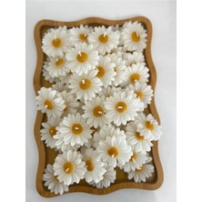 Bernami Düğün Pinterest Papatya , Nikah Şekeri, Doğum, Sünnet, Düğün Nişan Söz, Kına, Doğum Günü - 15 Adet