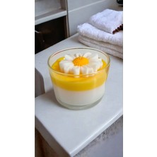 Bernami Kdekoratif Pinterest Mum Papatya Model Cam Bardak