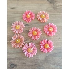 Bernami Biblo Pinterest 10 Adet Pembe Papatya Mum. Biblo Nişan Hediyelik Biblo Şekeri Bebek Şekeri Mevlit Sünnet Aksesuar