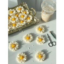 Bernami Mevlüt Pinterest Papatya Şeklinde El Yapımı Kokulu Mum