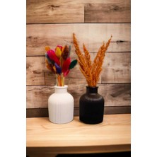 Bernami Mevlüt Pinterest Dekoratif Minimal Pampas Siyah Beyaz 2'li Çizgili Vazo(Çiçekler Dahil Değildir)