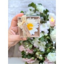 Bernami Kdekoratif Pinterest Mum, Kdekoratif Şekeri, Doğum, Kdekoratif Nişan Söz, Kına, Doğum Günü 20 Adet Papatya Kurdele Süslemeli Mum