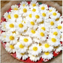 Bernami Mevlüt Pinterest Papatya Suda Yüzen Mum Kokulu Mum - 1 Adet