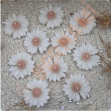 Bernami Mevlüt Pinterest Papatya Mum A.kahve Nişan, Nikah, Doğum Günü, Özel Gün - 10 Adet