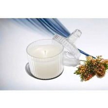 Bernami Mevlüt Pinterest 24 Adet Mumlu Mika Şekerlik Kutu-Plastik Şeffaf Hediyelik Mum Kutu Hediyelik Mum, Mevlüt Şekeri