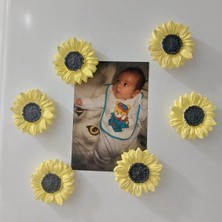 Bernami Mevlüt Pinterest 6 Lı Buzdolabı Magnet Ayçiçeği Hediyelik Dekoratif Aksesuarlar