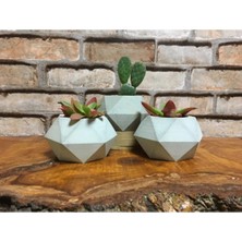 Bernami Kdekoratif Pinterest Üçlü Ham Beton Döküm Kaktüs ve Skulent Saksı Seti Prizma