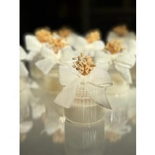 Bernami Mevlüt Pinterest Beyaz Renkli Mum - Şeffaf Mika Kutu - 10 Adet