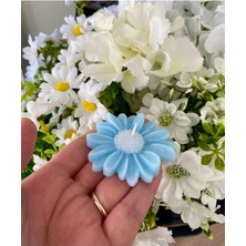 Bernami Mevlüt Pinterest Bebek Hediyelik Mavi Papatya Mum 10 Adet