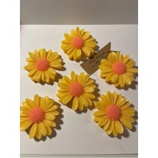 Bernami Kdekoratif Pinterest 5 Adet Papatya Mum Kdekoratif Nişan Söz Yeni Doğan Bebek Şekeri Kdekoratif Şekeri