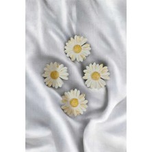 Bernami Şamdan Pinterest 4’lü Papatya Magnet , Buzdolabı Magneti
