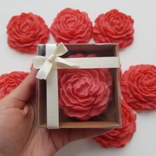 Bernami Şamdan Pinterest 20’li Kutulu Şakayık Mum Kokulu Etiketli