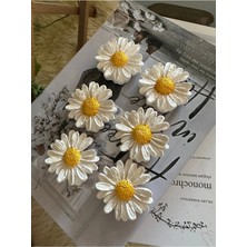 Bernami Mevlüt Pinterest 6’lı Papatya Model Dolap Süsü Magnet