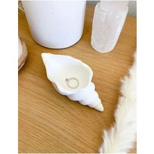 Bernami Mevlüt Pinterest Deniz Kabuğu Mumluk / Organizer / Takılık /anahtarlık