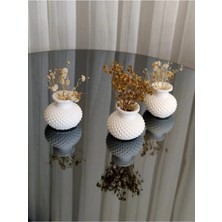 Bernami Mevlüt Pinterest Mini Vazo Set Çiçesiz - 3 Adet