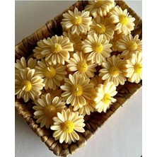 Bernami Mevlüt Pinterest 10 Adet Papatya Model Mum , Su Üzerinde Yüzen Mum