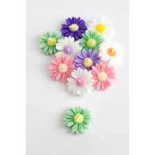 Bernami Kdekoratif Pinterest 10’lu Renkli Papatya Mum