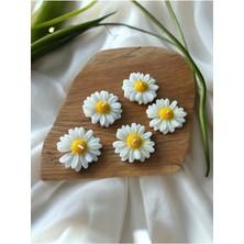 Bernami Mevlüt Pinterest 10 Adet Papatya , Mevlüt Şekeri, Doğum, Sünnet, Mevlüt Nişan Söz, Kına, Doğum Günü