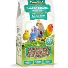 Snmswrld Eurogold Kenevir Tohumu 100 gr x 2 Adet