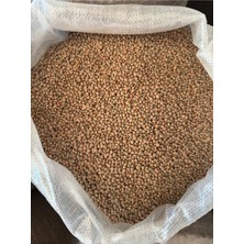 Bernami Mevlüt Pinterest Yeşil Köy Mercimeği 1 kg