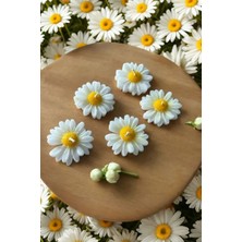 Bernami Mevlüt Pinterest Suda Yüzen Hediyelik Kokulu Papatya Mum - 1 Adet