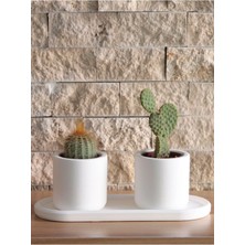 Bernami Mevlüt Pinterest Mini Silindir Sukulent Saksı Oval Tabaklı Set Dekoratif Hediyelik Ham Beyaz