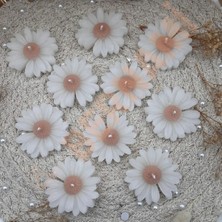 Bernami Mevlüt Pinterest Papatya Mum A.kahve Nişan, Nikah, Doğum Günü, Özel Gün - 10 Adet