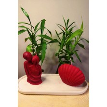 Bernami Mevlüt Pinterest Sarılan Çift ve Midye Detaylı Sunum Tabağı Içinde %100 Soya Wax Dekoratif Hediyelik 3'lü Mum Seti