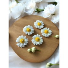 Bernami Mevlüt Pinterest 20 Adet Kraft Kutulu Papatya Mum Hediyelik, Nişan, Düğün, Sünnet, Söz, Kına, Doğum Günü