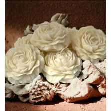 Bernami Dekoratif Pinterest Dekoratif Şakayık Çiçeği Kokulu Mum 2'li