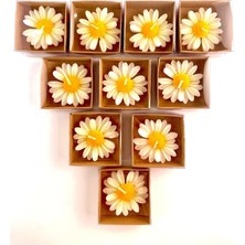 Bernami Mevlüt Pinterest 20 Adet Kraft Kutulu Papatya Mum, Söz, Nişan, Düğün, Kına, Doğum Günü, Özel Günler, Hediye