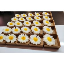 Bernami Mevlüt Pinterest 50 Adet Kraft Kutulu Papatya Mum Nişan, Söz, Düğün, Doğum Günü, Kına