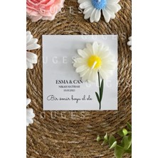 Bernami Mevlüt Pinterest 10 Adet Özel Tasarlanmış Kart ve Papatya Mum. Bebek Doğum, Babyshower, Doğum Günü, Hediyelik