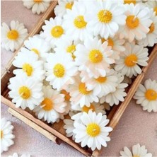 Bernami Şamdan Pinterest Papatya Mum - 30 Adet