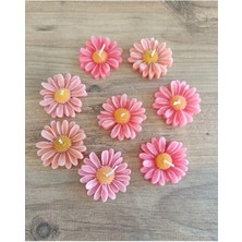 Bernami Şamdan Pinterest 10 Adet Pembe Papatya Mum. Biblo Nişan Hediyelik Biblo Şekeri Bebek Şekeri Mevlit Sünnet Aksesuar