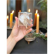 Bernami Şamdan Pinterest Mum, Biblo Şekeri, Doğum, Biblo Nişan Söz, Kına, Doğum Günü 20 Adet Gül Şakayık Çiceği Mum